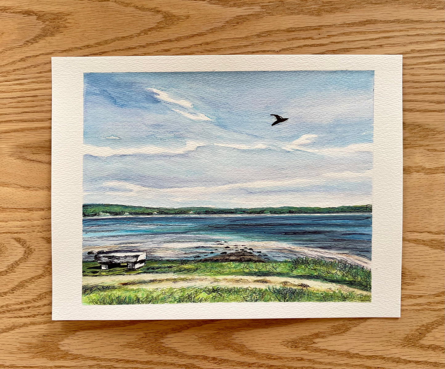 Coastal Sighting