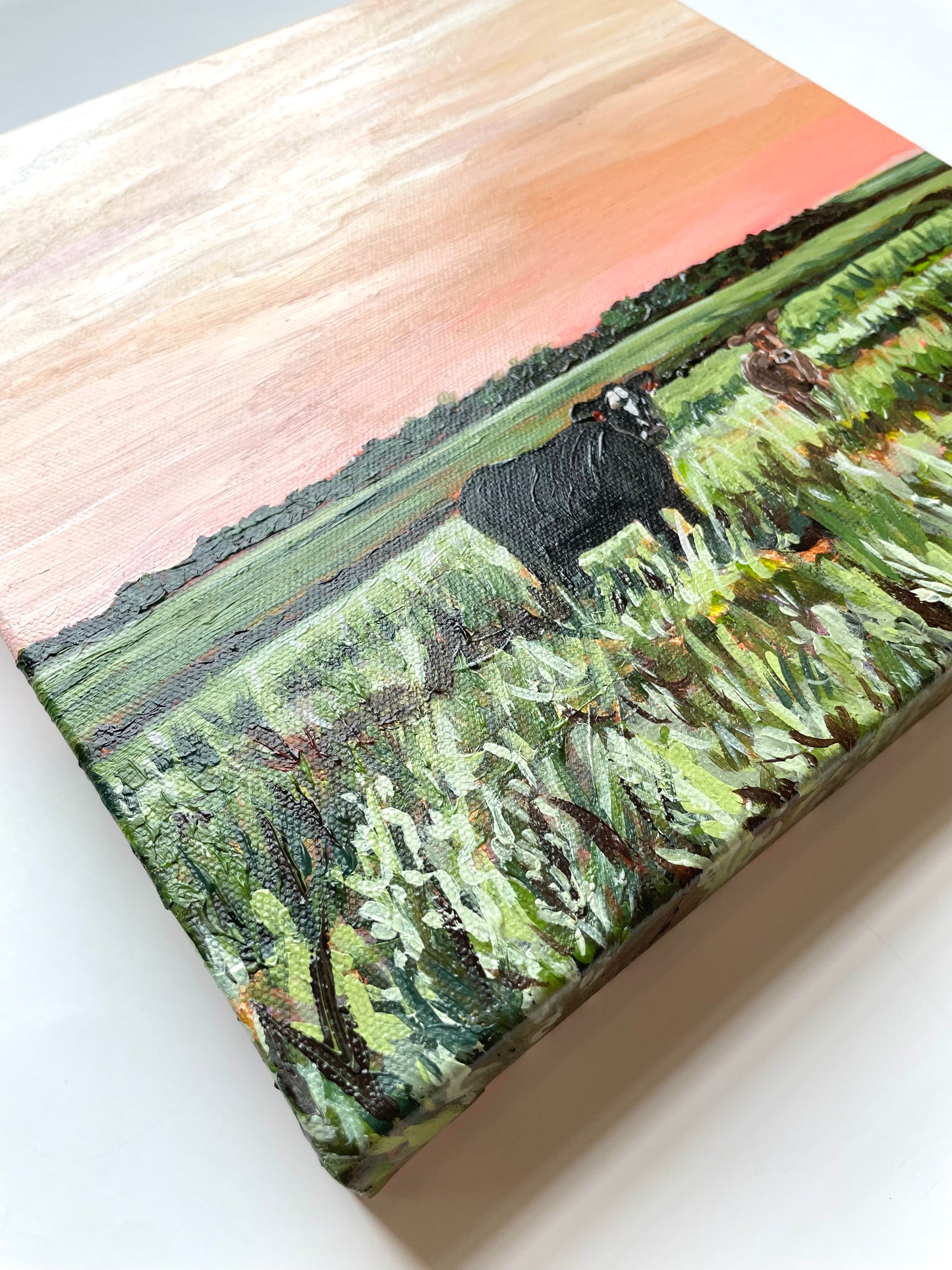 Small painting of a black cow in a field with a colorful background_Mom and Baby Cow in a tall grassy field during golden hour painting by Nicole May Lesher