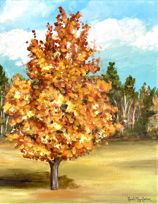 Sugar Maple