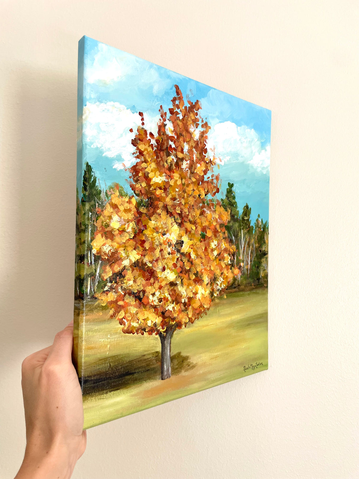 Sugar Maple