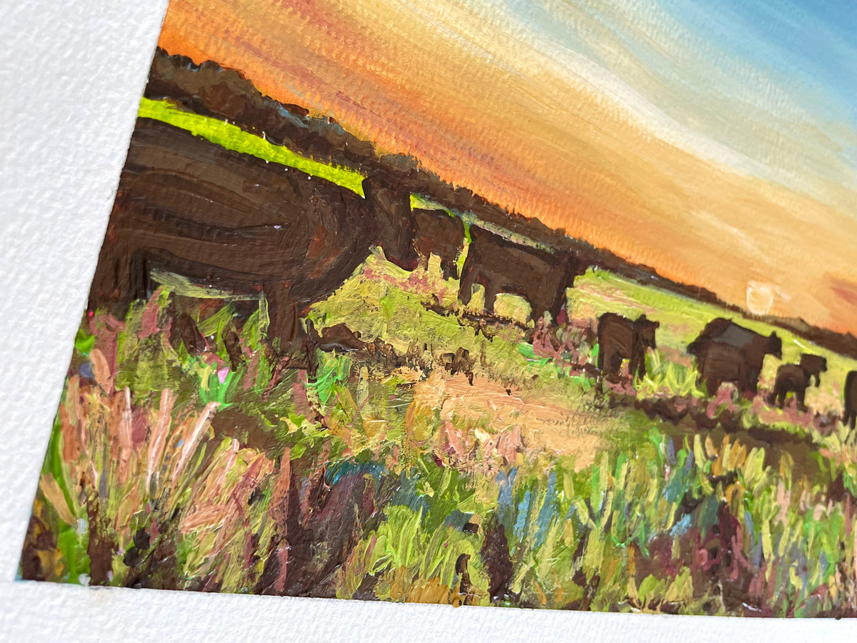 Colorful Pastures