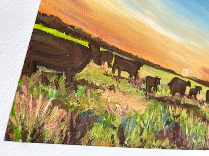 Colorful Pastures