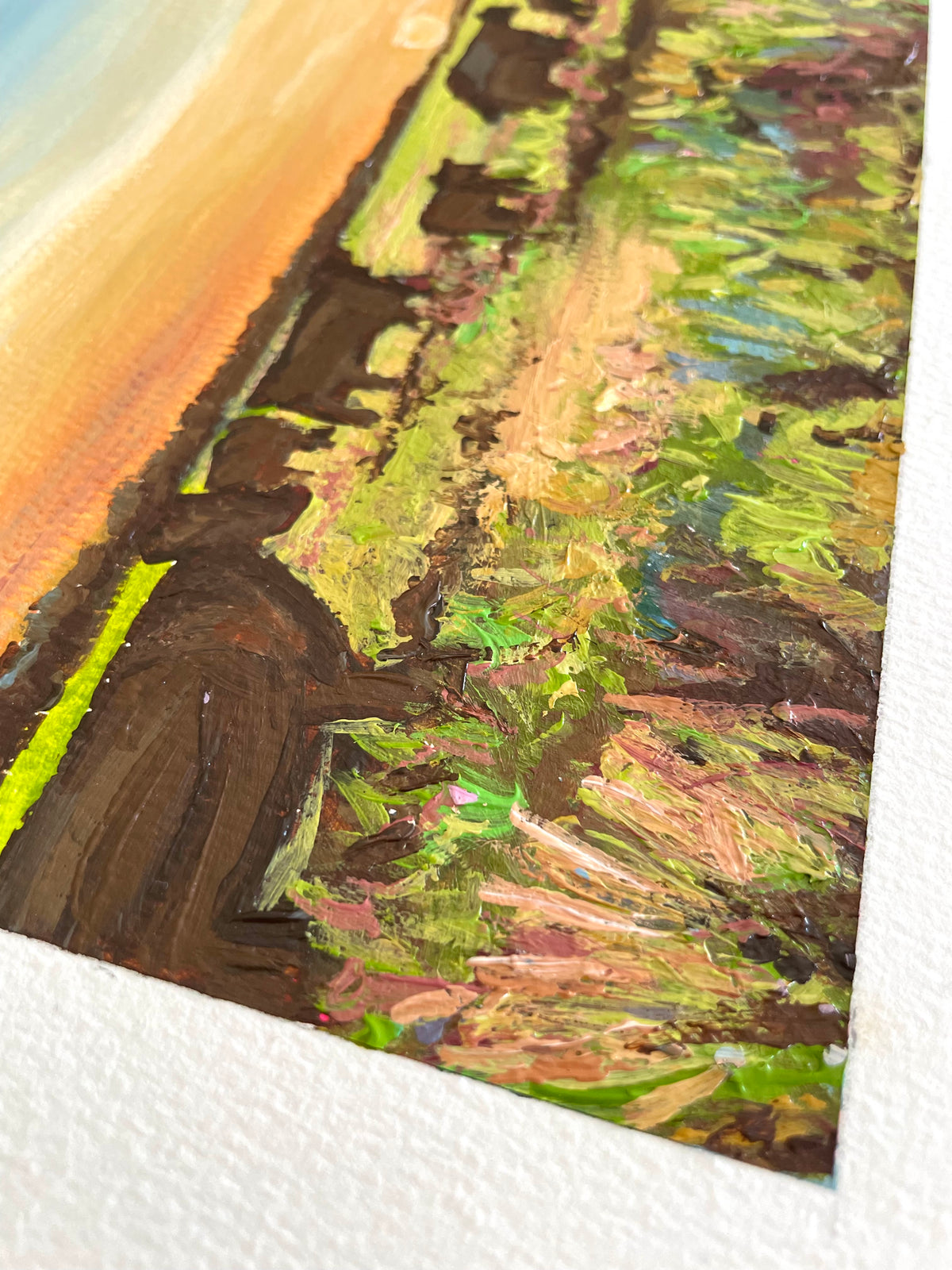 Colorful Pastures