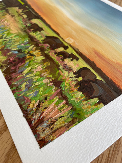 Colorful Pastures