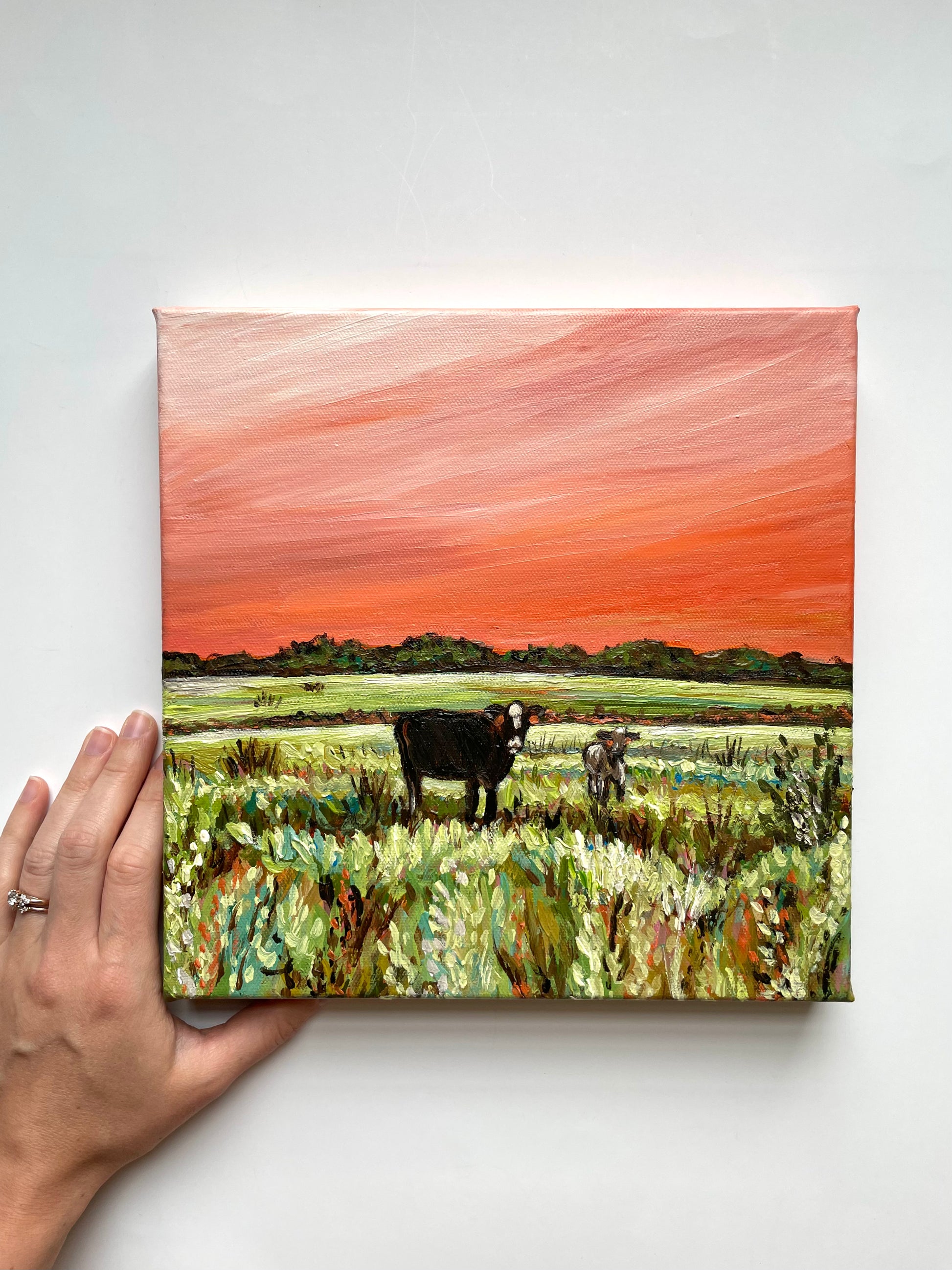 Painting of cows in a field with a sunset sky held by a hand on a white background